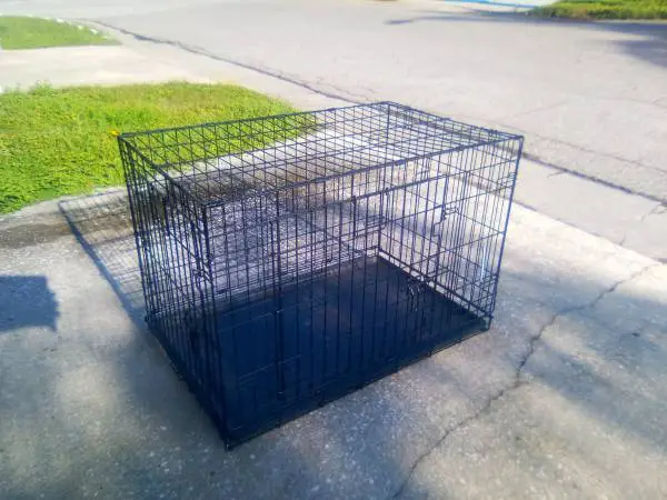 Dog kennel crate