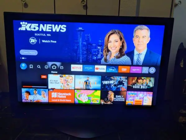 Panasonic 42 720p Smart Plasma HDTV with Fire TV Stick (MSRP: $349)