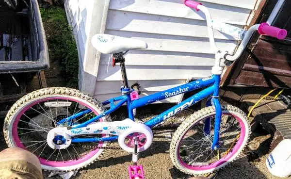 New Girls 20 Huffy
