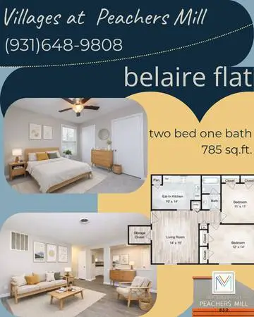 🍍Summertime shining over Belaire Floorplan