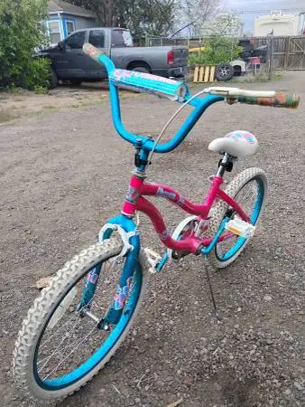 Dynacraft 20 Girls Charmer Bike Bicycle