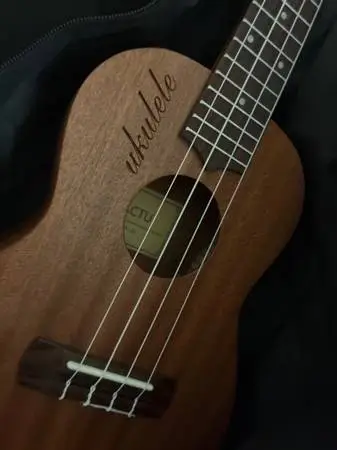 NEW Ukulele for sale 20obo