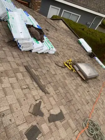 Roof Leak Fix, Sloped&Flat roofs Repair /Gutter Cleaning>150$.Call Us.