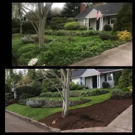 🌞🌱 💚ONE TIME CLEAN UPS 🌱🌷🌱 ** FREE ESTIMATES