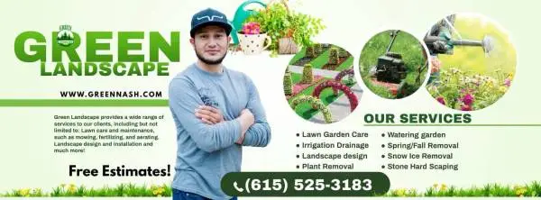 Affordable Lanscaping and tree removal service