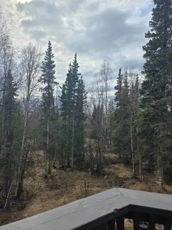 $745, room in SFH off Rabbit creek, utils included