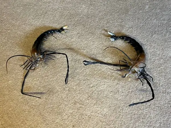 Lobster art decorations
