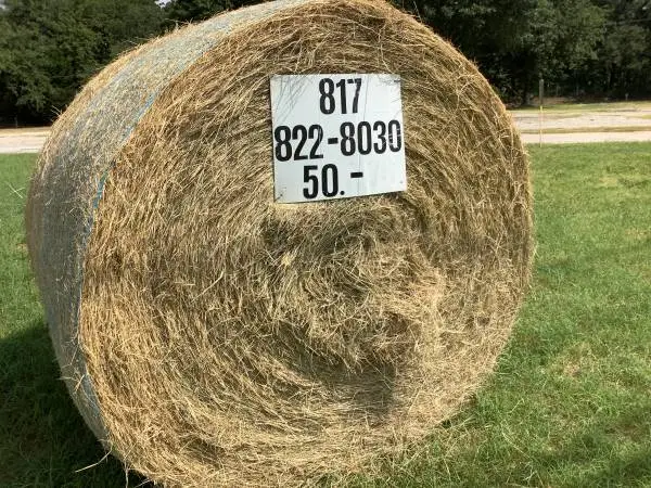 Coastal hay 4x5
