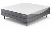 iLE Sleep Number bed (King size)