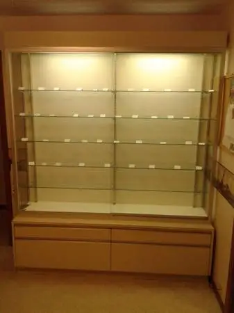 Lighted Glass Showcase