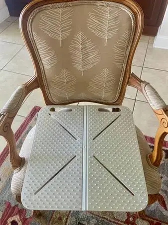 Pet deterrent furniture pads