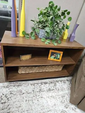 Large Shelf or TV Stand
