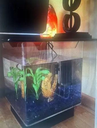 Table Aquarium