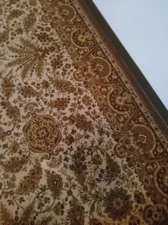 Large area rug with more pics