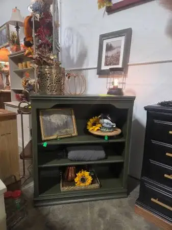 Dark Green Bookshelf