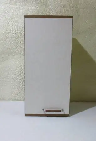 HEAVY DUTY WALL CABINET 25.5 in.H x 12in.W x 10 in.D, 2 Adj. Shelves