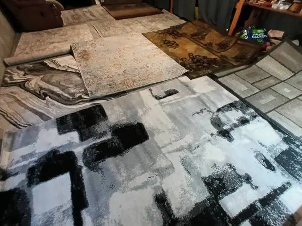 HUGE Selection of Area Rugs Carpets