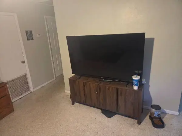 1.5 yr old couches tv and entertainment center