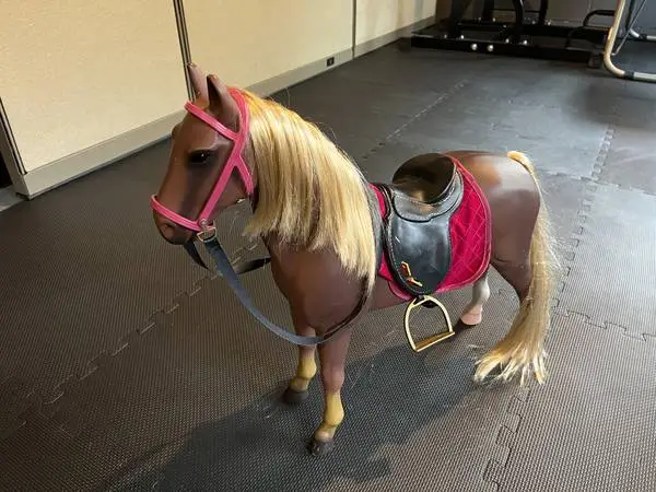 Our Generation saddled horse