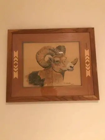 Big Horn Sheep print