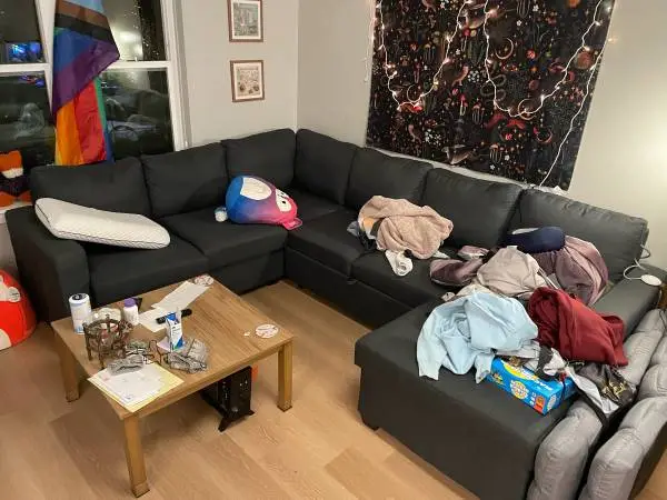 Large Sectional w/ Pull Out
