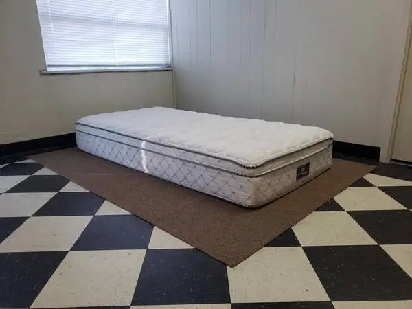 Twin size mattress - can DELIVER almost anywhere for $20 extra