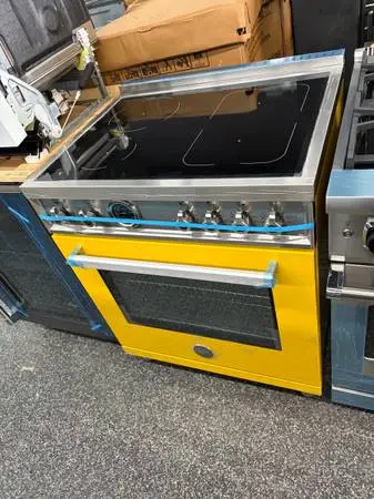 Induction 30 Inch Range Self Clean