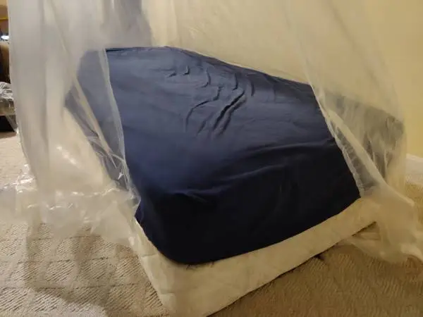 Twin mattress and box spring