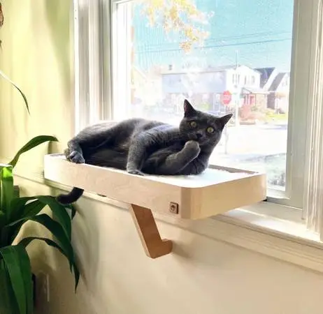 Wooden cat window perch