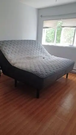 High End Electric Bed