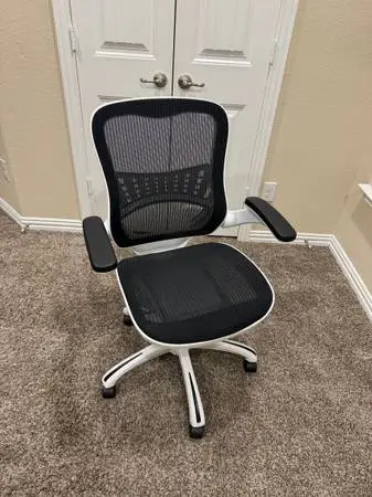 Riley ergonomic office chair