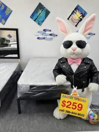 Twin bed sale