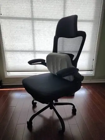 Zionsit Ergonomic Office Chair