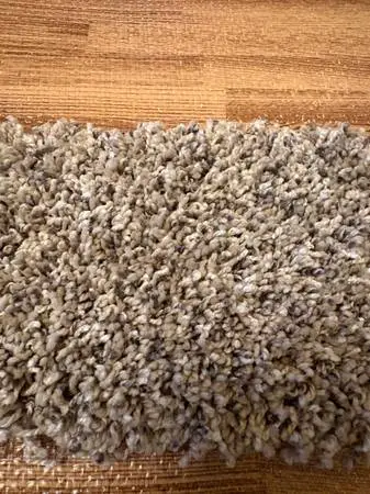 NEW Roll Carpet