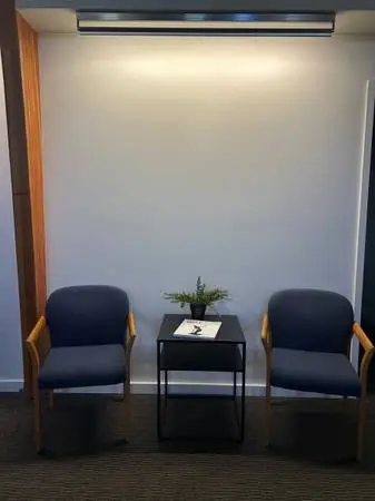Two Reception / Waiting Room Chairs