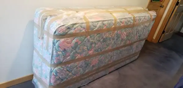 Twin bed mattress and box spring