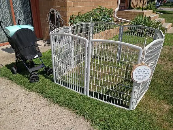 Small dog outside pen and dog stroller with puppy pads