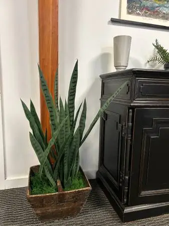 Indoor Artificial Snake Plant with Pot
