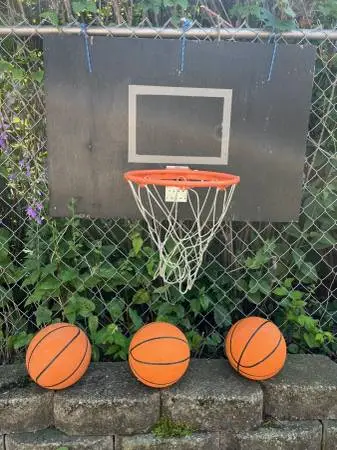 Kids Basketball Hoop + 3 Bballs