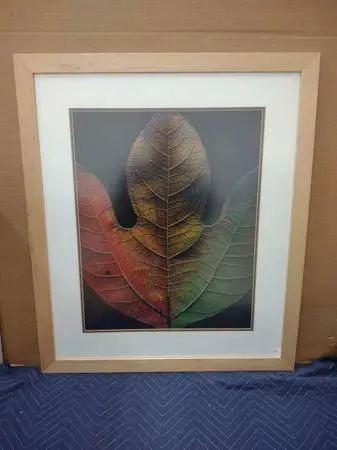 2 Glass Framed Artwork Fall Plate I &II Christopher Griffith New$430