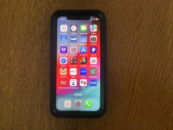 iPhone X (10)