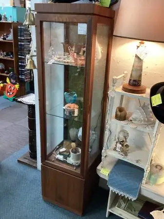 GLASS & LIGHTED CURIO CABINET