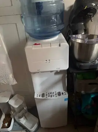Water dispenser