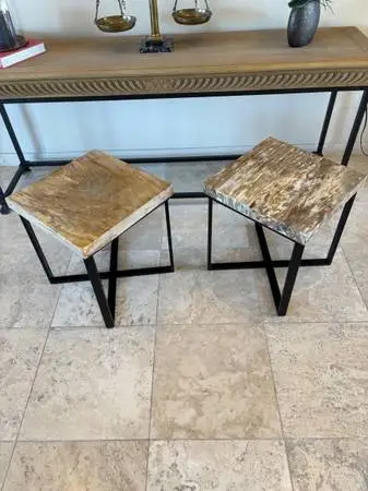 2 RESTORATION HARDWARE petrified wood end tables