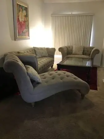 Luxurious Living Room Set