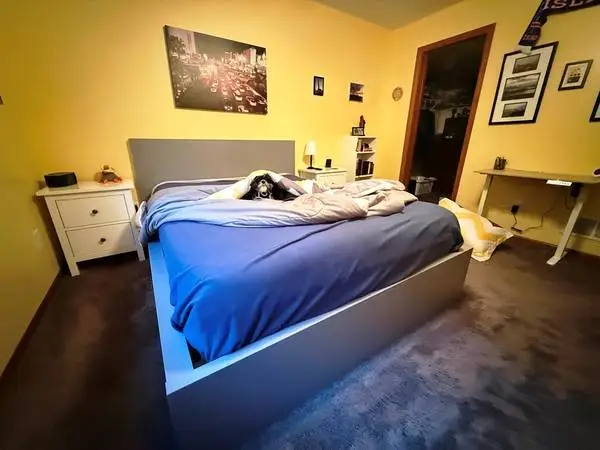 Queen Bed Frame (Gray)