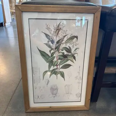 Botanical Print I W/ Light Wood Frame - 16X24