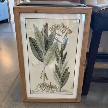 Botanical Print II W/ Light Wood Frame - 16X24