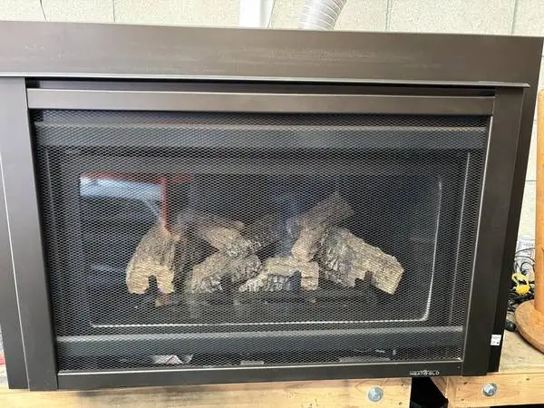 Heat n glo fireplace insert