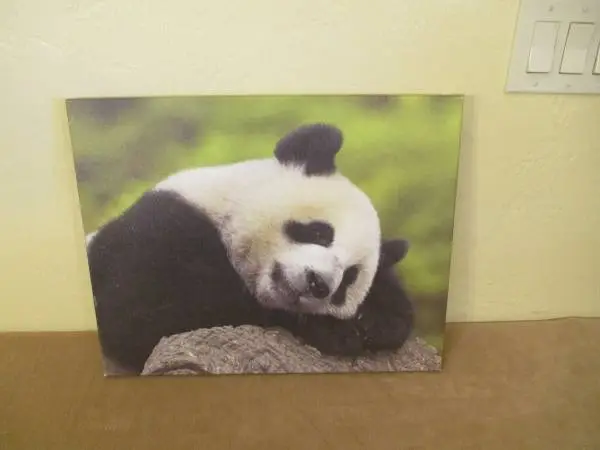 Picture - Panda Bear